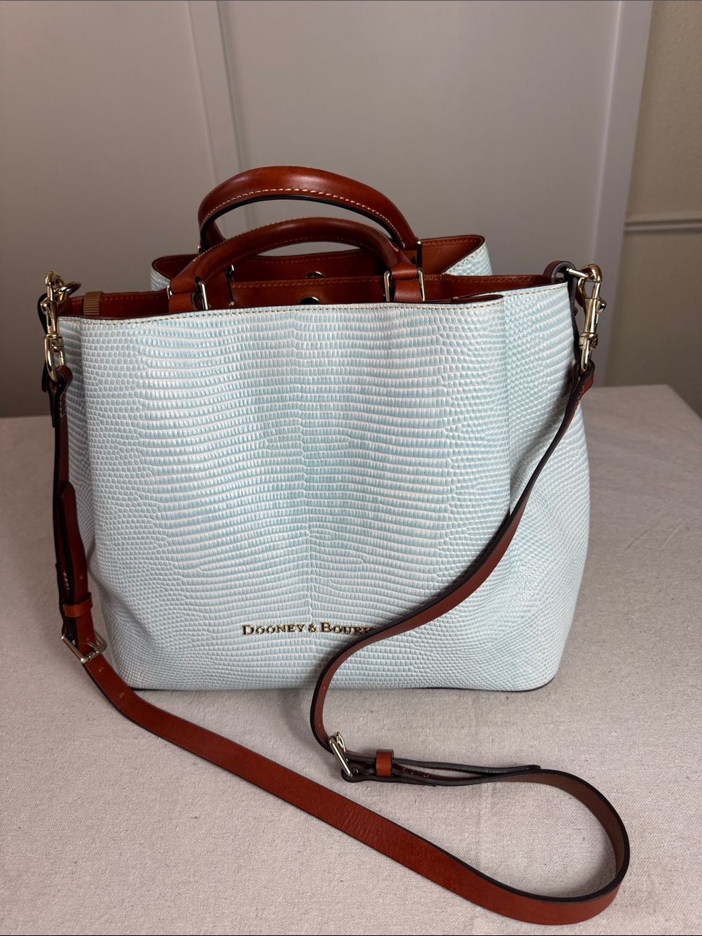 Dooney & Bourke Light Blue Textured Tote with Brown Leather Trim